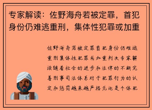 专家解读：佐野海舟若被定罪，首犯身份仍难逃重刑，集体性犯罪或加重判决