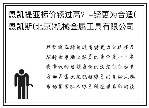 恩凯提亚标价镑过高？-镑更为合适(恩凯斯(北京)机械金属工具有限公司)