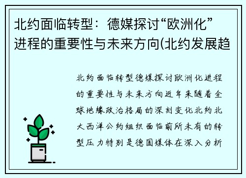 北约面临转型：德媒探讨“欧洲化”进程的重要性与未来方向(北约发展趋势)