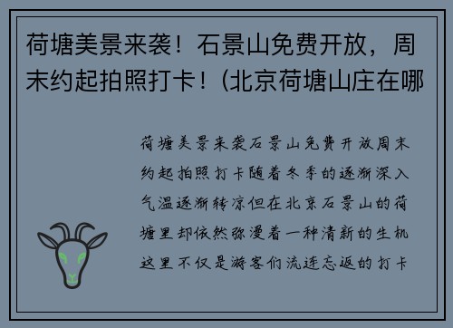 荷塘美景来袭！石景山免费开放，周末约起拍照打卡！(北京荷塘山庄在哪)