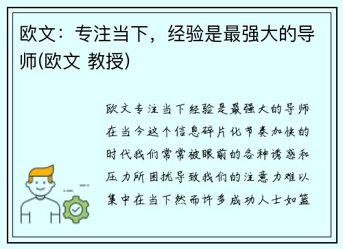 欧文：专注当下，经验是最强大的导师(欧文 教授)