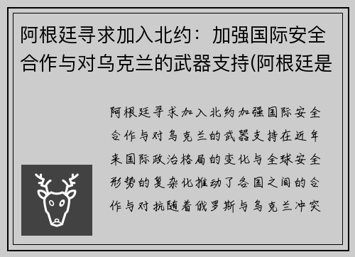 阿根廷寻求加入北约：加强国际安全合作与对乌克兰的武器支持(阿根廷是不是有希望了)
