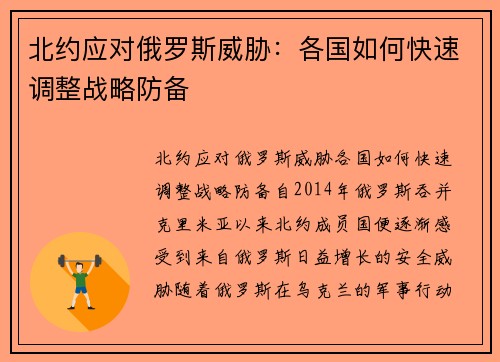 北约应对俄罗斯威胁：各国如何快速调整战略防备